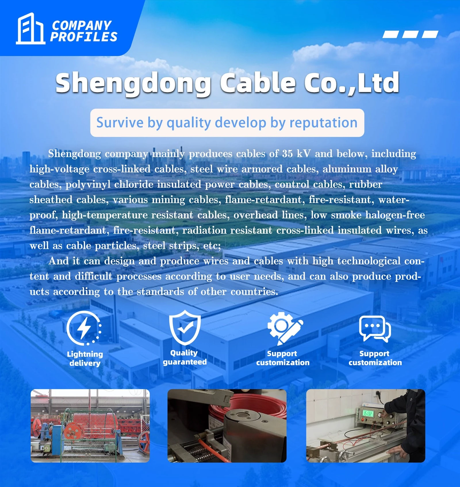 product-1600-1695 product-1600-1695